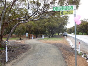 Euclyptus Walk section of the Wool Trail Sep 25