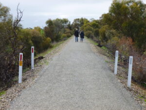 Wool Trail Sep 25