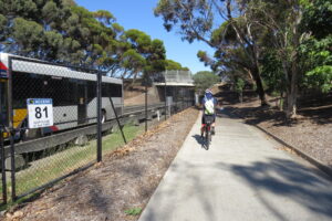 O-Bahn bus passing cyclist on the approach to the Reservoir Rd underpass at Holden Hill [2024]