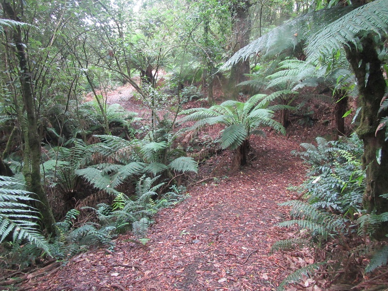 Further enhancements of Old Beechy Rail Trail (2)