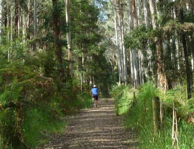 Tiger Rail Trail