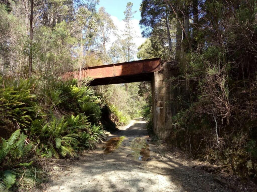 Melba Flats to Zeehan Rail Trail