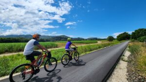 Cruising next to sugarcane fields at Mooball [2023]