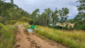 Trail between Humphery and Mt Debateable beside the Burnett River [2023]