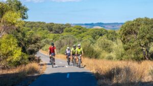 Riding up to Seaford from McLaren Vale. The fun is over [2024]