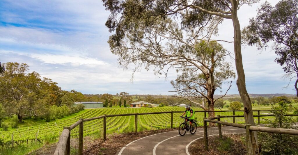 Amy Gillett Bikeway rail trail