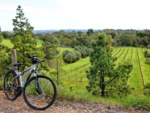 View from the rail trail near Angaston [2020]