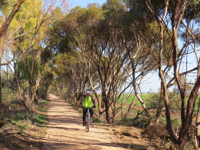 New Copper Rail Trail Opened in South Australia