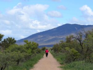 Terka, heading toward Mt Remarkable [2020]