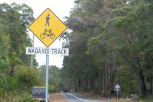 Road crossing