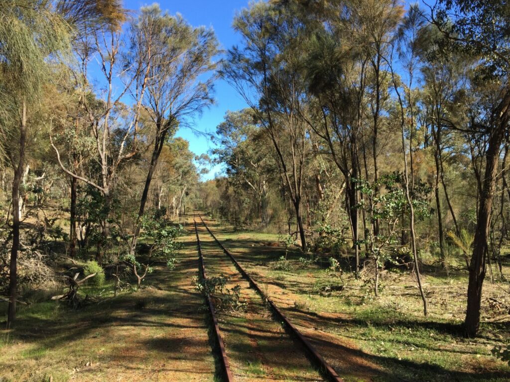 Tullis Bridge Walk Trail