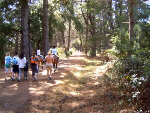 It’s also popular with horse riders [2007]