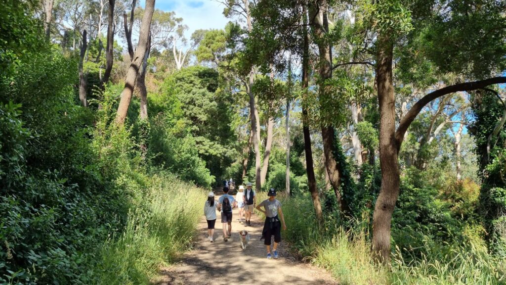 Have your say on Mornington Peninsula’s RideSafe Strategy 2020
