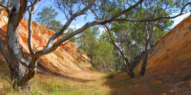 Wallan to Heathcote Rail Trail (VIc) Feasibility Study Feedback