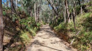 A section of the trail from that roundabout is on the formation [2022]