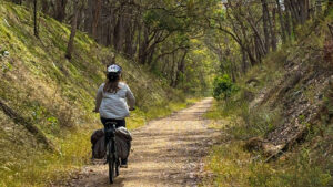 Farmland changes to forest between Linton and Pittong [Isabel Boyce 2024]