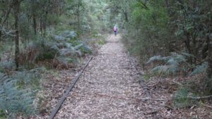 Limestone Creek area still has rails and sleepers [Andrew Lecky, 2019]