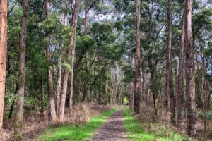 The Lyonville end of the rail trail [2024]